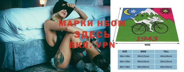 стаф Волосово